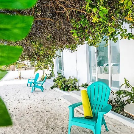 Ocean Front Property - Villa 5 Aruba Stunning